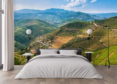 Top view of the vineyards on a hills at Douro Valley, Portugal. Wall mural