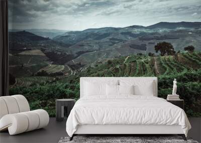 View of the hills in Douro Valley, northern Portugal. Wall mural