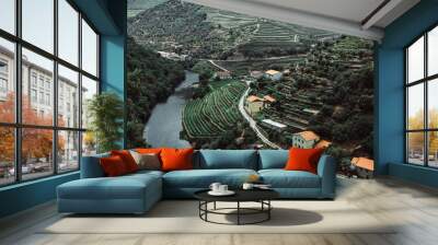 View of the vineyards are on a hills of the Douro Valley, Portugal. Wall mural