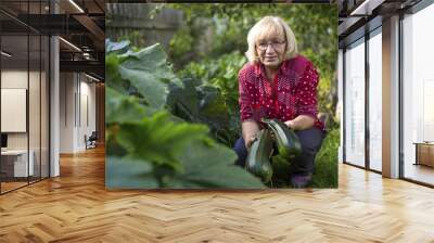 Woman with a zucchini in his garden. Wall mural