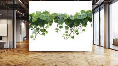 green ivy leaves isolated on white background, transparent background cutout Wall mural