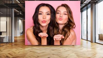 Close up photo of cute charming ladies fellows fellowship send air kiss attract men want date valentine day wavy curly haircut long modern trendy stylish clothing isolated pink background Wall mural