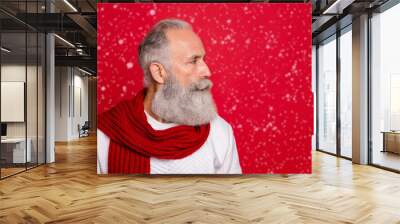 Close-up profile side view portrait of his he nice fashionable attractive well-groomed content gray-haired man looking aside isolated over bright vivid shine red background Wall mural