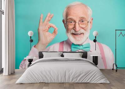 Closeup photo of amazing grey haired grandpa showing okey symbol express agreement wear specs pink shirt suspenders bow tie isolated bright teal color background Wall mural