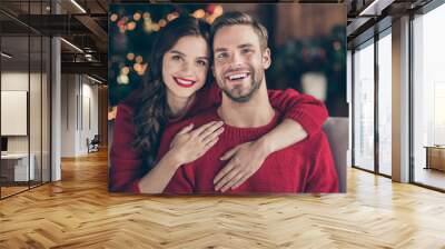 Closeup photo of cute couple spending holly christmas eve in decorated garland lights room near newyear tree piggyback sitting cosy sofa indoors wearing red pullovers Wall mural