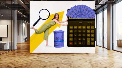 Collage 3d image of pinup pop retro sketch of funny excited female pushing calculator dollar banknotes search zoom financier economist Wall mural