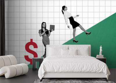 Composite photo collage of two happy freelancer girls business partners development dollar income success isolated on painted background Wall mural