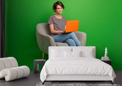 Full body portrait of nice positive lady sit cozy chair use wireless netbook isolated on green color background Wall mural