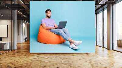 Full length body size photo of young entrepreneur working with laptop in beanbag isolated on bright blue color background empty space Wall mural