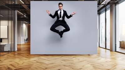 Full length body size view portrait of nice attractive calm guy executive leader expert development agent broker manager financier banker weightlessness zero gravity isolated on light gray background Wall mural