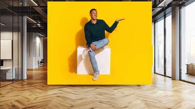 Full length photo of attractive young man sit white cube hold look empty space dressed green clothes isolated on yellow color background Wall mural