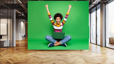 Full length photo of crazy funky afro american girl work laptop sit legs crossed win coworking deal scream wow omg raise fists wear denim jeans shine outfit isolated green color background Wall mural