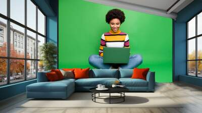 Full length photo of positive afro american girl worker work on her netbook read document information sit legs crossed folded wear denim jeans clothes isolated over green color background Wall mural