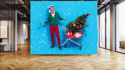 Full length photo of positive cheerful guy dressed xmas green cardigan rising hands arms shoppers buyer isolated blue color background Wall mural