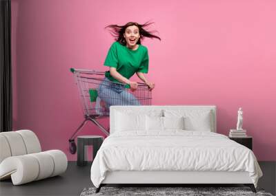 Full length portrait of cheerful overjoyed girl sitting inside supermarket trolley isolated on pink color background Wall mural