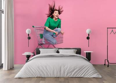 Full size portrait of overjoyed carefree girl sit inside market trolley look empty space isolated on pink color background Wall mural