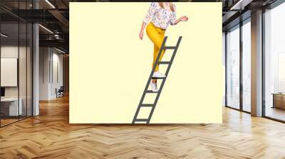 Photo collage of successful business lady go up draw ladder top manager professional boss leader chief isolated pop art cartoon graphics background Wall mural