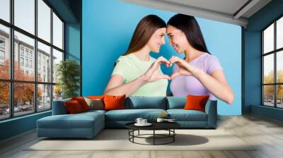 Photo of affection feelings lesbians couple young ladies romantic date make fingers heart shape symbol lean heads lovers look eyes wear casual t-shirts isolated blue color background Wall mural