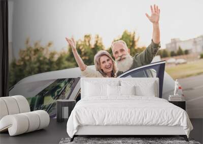 Photo of cheerful aged couple husband wife good mood waving hands hello bye ride transport car travel outdoors Wall mural