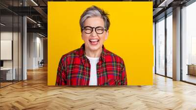 Photo of cheerful aged person good mood rejoice laugh empty space isolated on bright yellow color background Wall mural