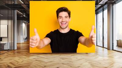 Photo of cheerful handsome attractive man showing you thumbs up smiling toothily approving your action isolated vibrant shiny color background Wall mural