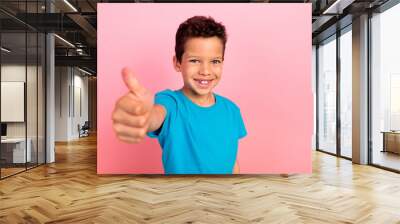 Photo of cheerful positive little boy dressed blue t-shirt showing you thumb up isolated pink color background Wall mural