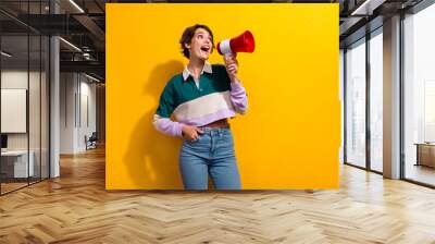 Photo of dreamy excited lady dressed polo shirt shouting bullhorn empty space isolated yellow color background Wall mural