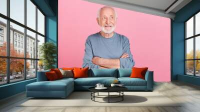 Photo of elder grey hairdo man crossed arms look promo wear blue shirt isolated on pink color background Wall mural