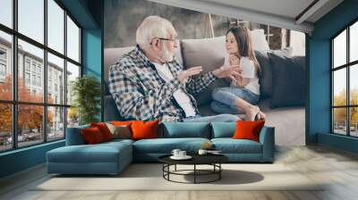 Photo of funny two people old grandpa little granddaughter sitting comfort sofa telling good story stay house quarantine safety modern design interior living room indoors Wall mural