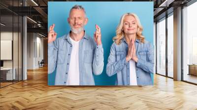 Photo of mature couple beg wish pray crossed fingers hope luck expect isolated over blue color background Wall mural