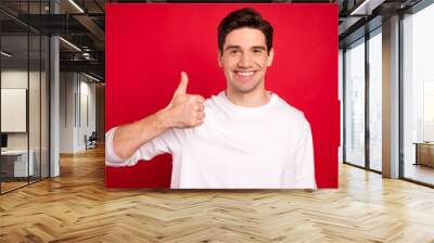 Photo of optimistic brunet young guy show thumb up wear white shirt isolated on red color background Wall mural