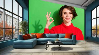 Photo of optimistic nice brunette hairdo lady show okey wear red sweater isolated on bright green color background Wall mural