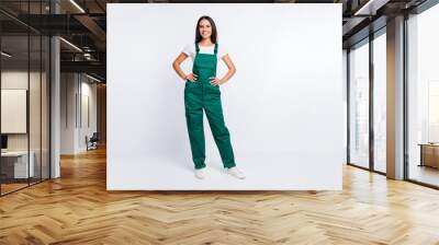 Photo of pretty positive lady hands hips look camera wear green overall isolated white color background Wall mural