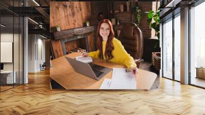 Photo of pretty young woman write notepad laptop desktop loft interior apartment home office indoors Wall mural