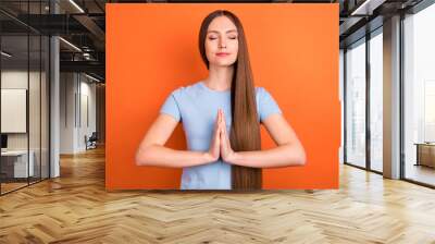 Photo of rest long hairdo millennial lady hold hands wear blue t-shirt isolated on vivid orange color background Wall mural