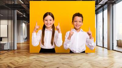 Photo of sweet funky preteen schoolchildren dressed white shirts showing finger up empty space isolated yellow color background Wall mural