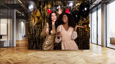 Photo of two glamour stunning ladies hold champagne wear cone hat birthday balloons isolated on shine bright tinsel background Wall mural