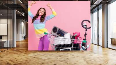 Photo of young lady rejoice victory sell online old-stuff blogger conservation recycle emotion isolated over pink color background Wall mural