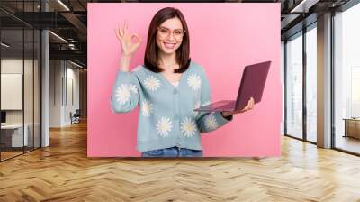 Photo of young professional manager working office womam showing okey sign hold laptop support specialist isolated on pink color background Wall mural