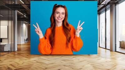 Photo portrait of attractive young woman show v-sign dressed stylish knitted orange clothes isolated on blue color background Wall mural