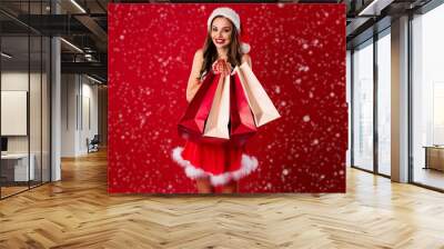 Photo portrait of gorgeous girl holding shopping bags in two hands isolated on vivid red colored background Wall mural