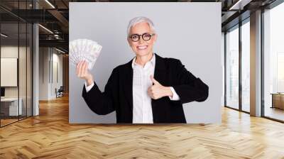 Photo portrait of lovely pensioner lady startup boss hold money fan thumb up dressed formalwear specs isolated on gray color background Wall mural