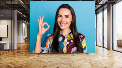 Photo portrait of lovely young lady show okey approve dressed stylish colorful print garment isolated on blue color background Wall mural