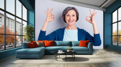 Photo portrait of smiling happy senior woman showing okay gesture both hands isolated on grey color background Wall mural