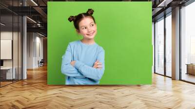 Portrait of adorable small girl with brown hair wear blue sweatshirt look empty space arms crossed isolated on green color background Wall mural