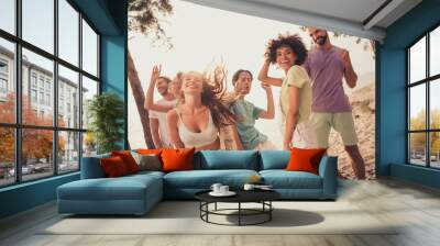 Portrait of attractive cheerful people group spending day dancing chill out having fun at beach outdoors Wall mural