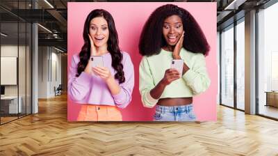 Portrait of attractive trendy delighted cheerful girls using gadget browsing web smm comment isolated over pink pastel color background Wall mural