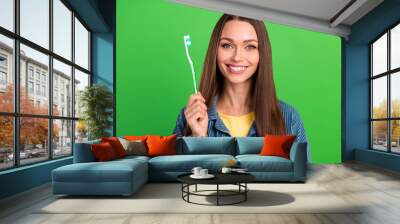 Portrait of cheerful charming lady hand hold toothbrush beaming smile isolated on green color background Wall mural