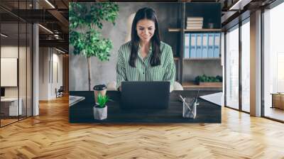 Portrait of her she nice attractive cheerful focused successful lady freelancer psychologist consulting online web site developing at modern industrial brick loft interior style work place station Wall mural