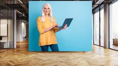 Portrait of her she nice attractive pretty content successful cheerful cheery grey-haired woman holding in hands laptop working remotely isolated on bright vivid shine vibrant blue color background Wall mural